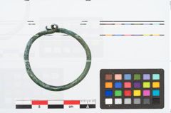 Foto von Bronzering (NHMW-PRAE-026453)